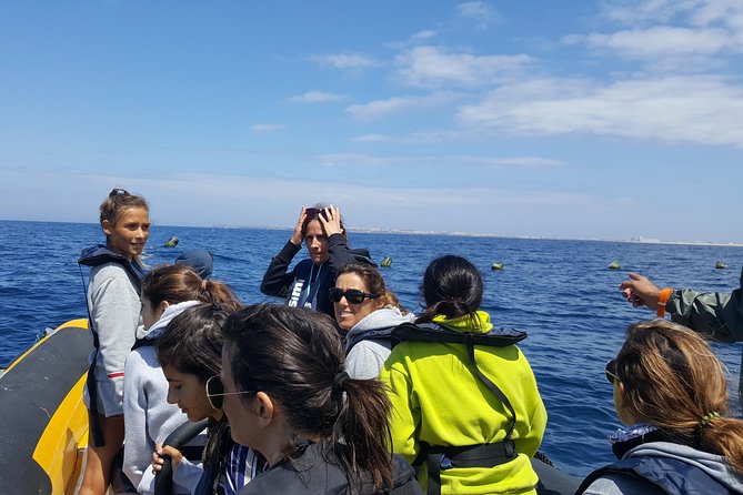 Dolphin Route - Who will enjoy this trip most