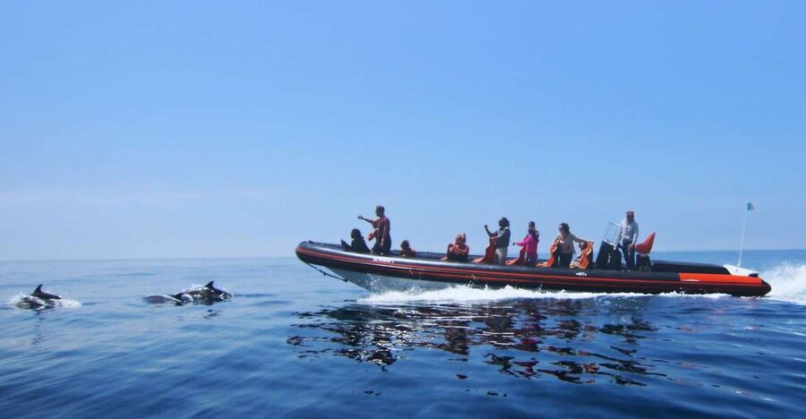 Dolphin Safari and Cave Tour in Vilamoura - Leaving Vilamoura Marina for the open water