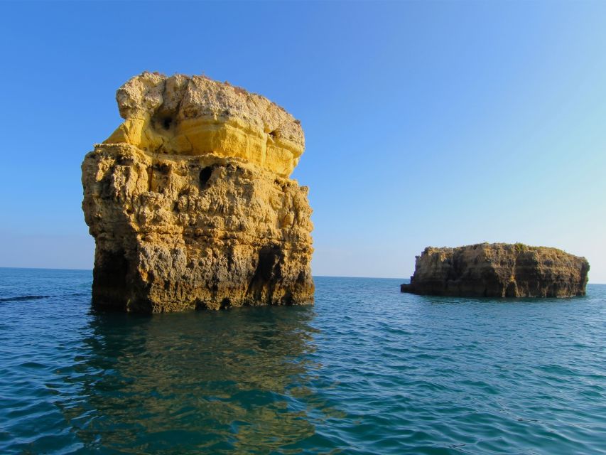 Dolphin Safari and Cave Tour in Vilamoura - Is $47 a fair price?