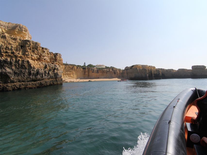 Dolphin Safari and Cave Tour in Vilamoura - The dolphin search is worth the uncertainty