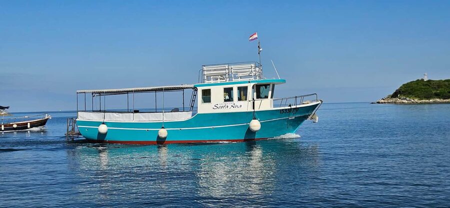 Dolphin Safari Boat Trip from Marina Funtana - Cruising the islands near Vrsar and Funtana