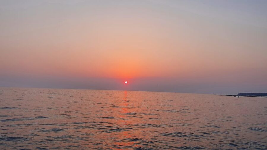 Dolphin safari every evening - Should You Book the Istrian Dolphin Safari?