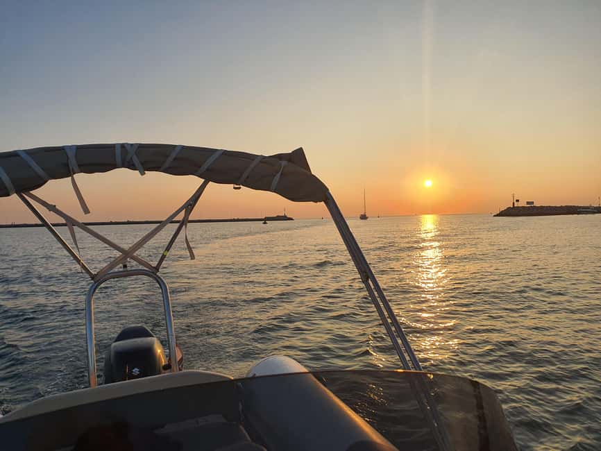 Dolphin safari every evening - What the Luxury Speed Boat Adds