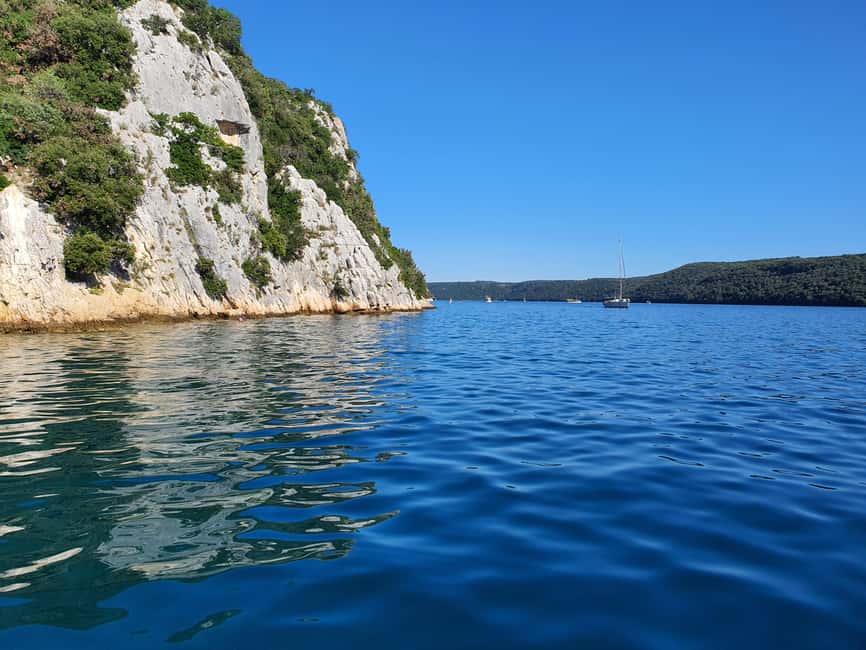 Dolphin safari every evening - Renting Without a Skipper