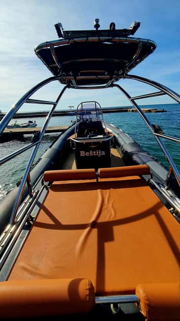 Dolphin safari every evening - How the Dolphin Sightings Can Vary