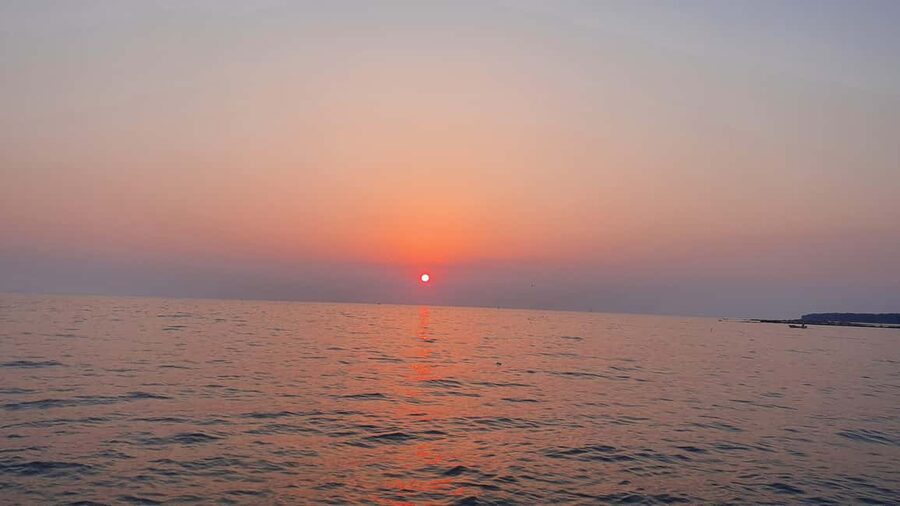 Dolphin safari every evening - Is $35 Per Person Good Value?