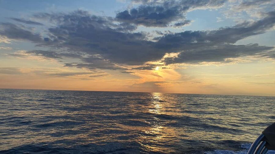 Dolphin safari every evening - Who Will Enjoy This Most?