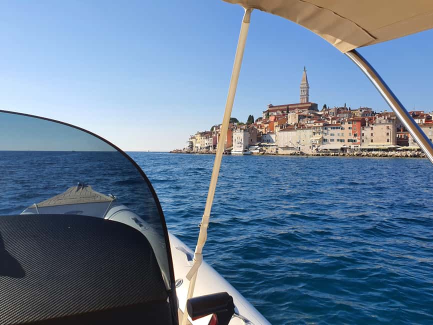 Dolphin safari every evening - Renting With a Skipper