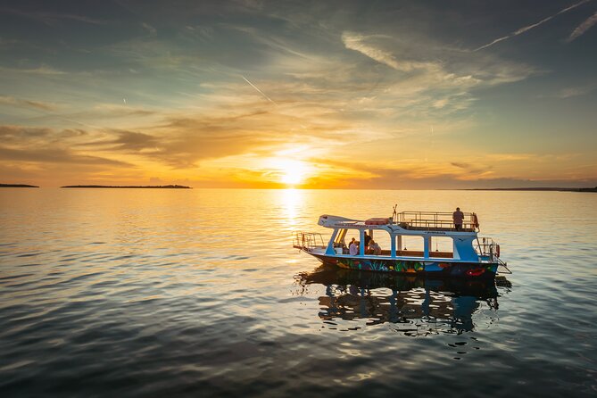 Dolphin Safari in Fažana - A two-hour evening on the Brijuni coast