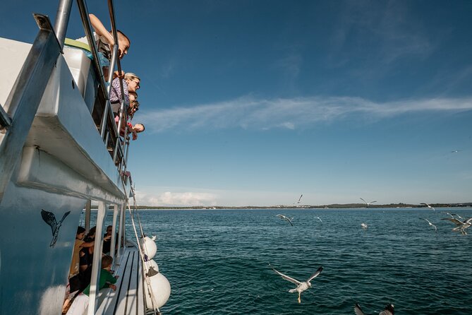 Dolphin Safari in Fažana - Drinks, food, and the small service detail that matters