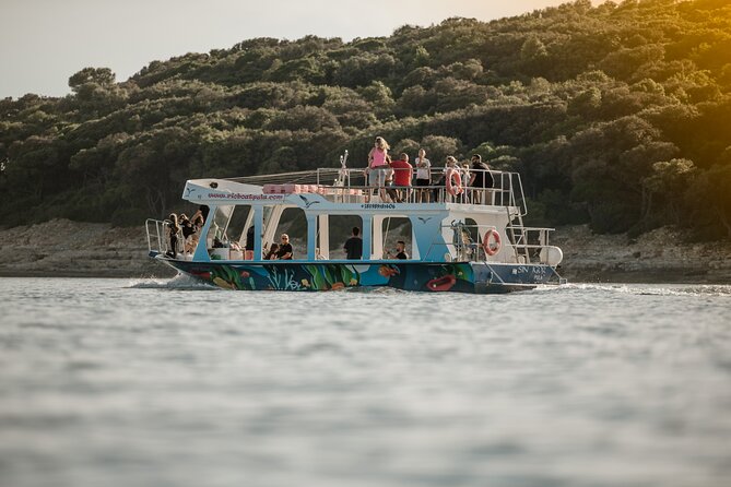 Dolphin Safari in Fažana - How the dolphin guarantee question affects value