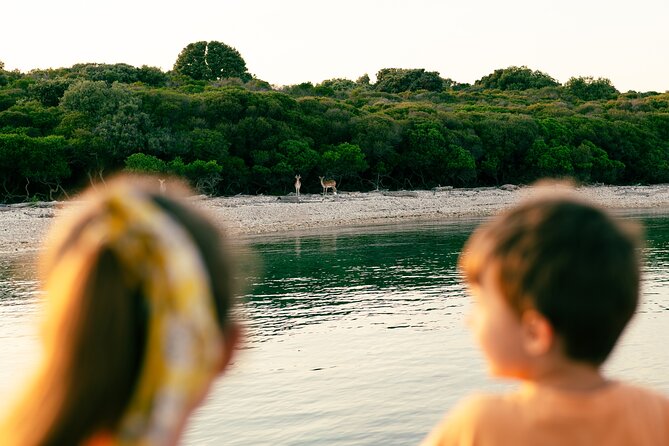 Dolphin Safari in Fažana - Who will enjoy this Fažana cruise most
