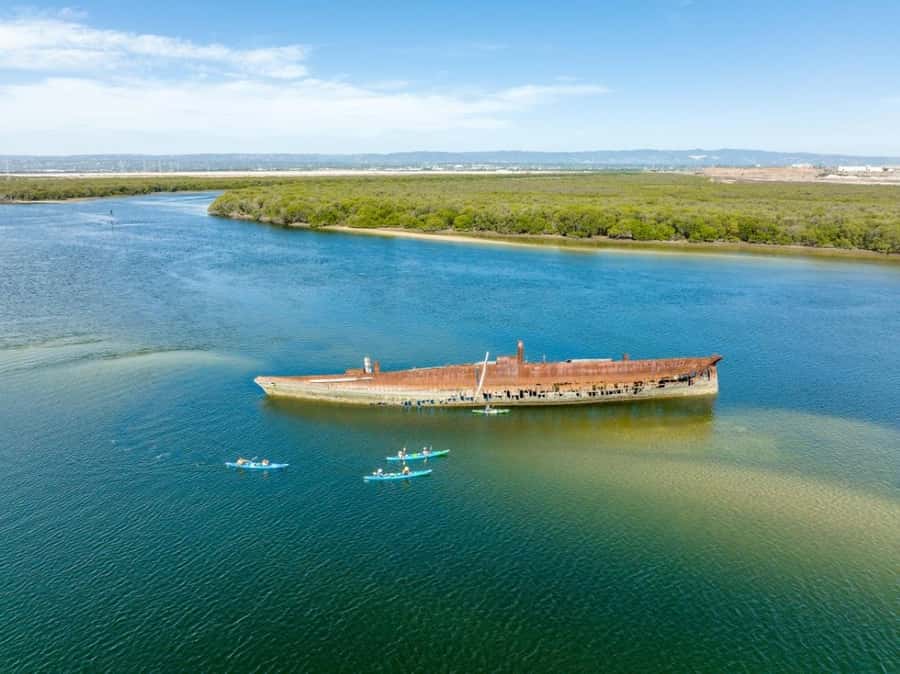 Dolphin Sanctuary and Ships Graveyard Kayak Tour - Key points to know before booking