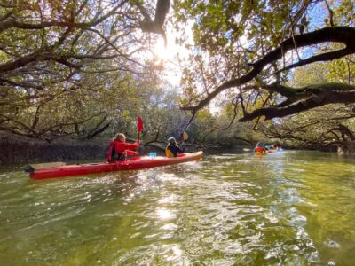 Dolphin Sanctuary and Ships Graveyard Kayak Tour
