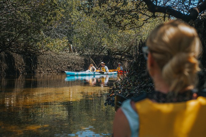 Dolphin Sanctuary Kayak Tour Adelaide - Looking for dolphins in an open sanctuary