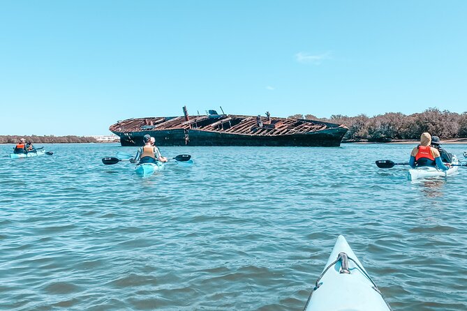 Dolphin Sanctuary Kayak Tour Adelaide - What the three-hour outing feels like physically