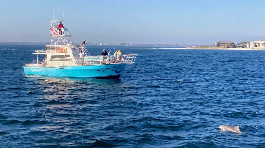 Dolphin & Scenic Bay Sightseeing Cruise Up to 49, Pensacola - Dolphin sightings, wildlife rules, and realistic expectations