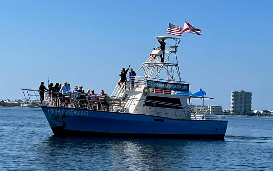 Dolphin & Scenic Bay Sightseeing Cruise Up to 49, Pensacola - What the $50 price includes