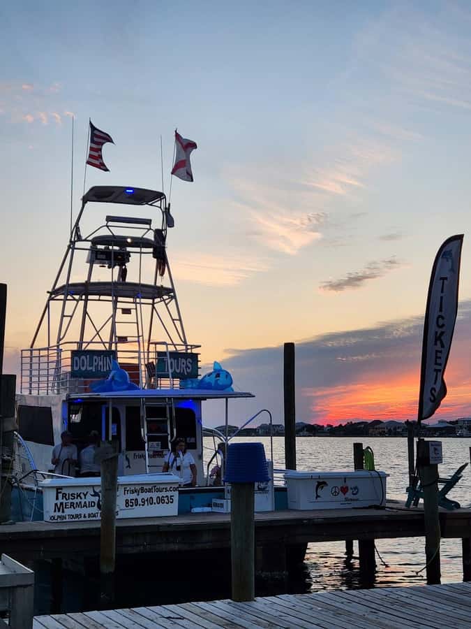 Dolphin & Scenic Bay Sightseeing Cruise Up to 49, Pensacola - Should you book The Frisky Mermaid?