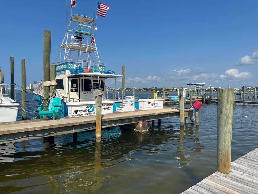 Dolphin & Scenic Bay Sightseeing Cruise Up to 49, Pensacola - Why The Frisky Mermaid works well for dolphin watching
