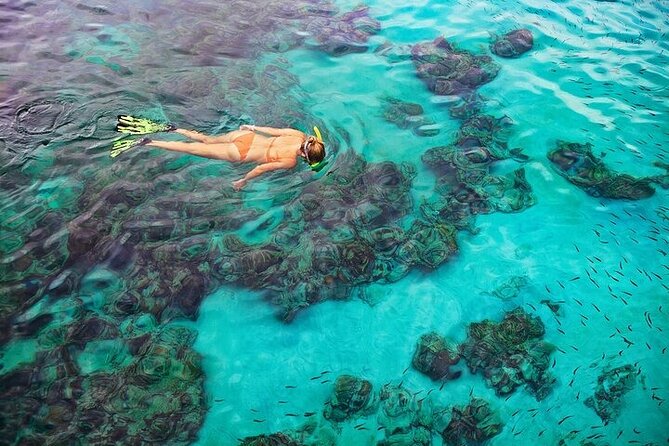 Dolphin, Sea Cave, Captain Cook, Kealakekua Bay Reef Snorkeling - Who should choose this experience?