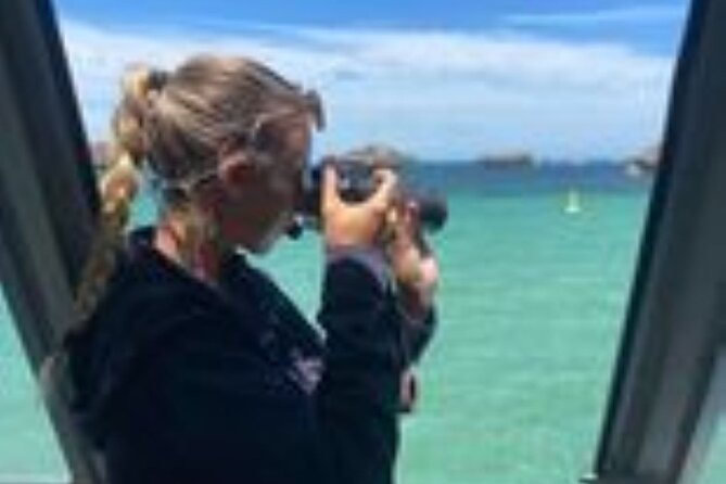 Dolphin, Sea Lion and Penguin Island Cruise - The Penguin Island problem you need to understand
