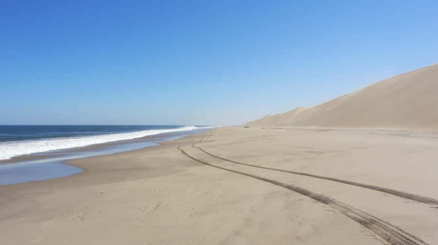 Dolphin & Seal cruise Sandwich harbour dune tour - Key points to know before booking