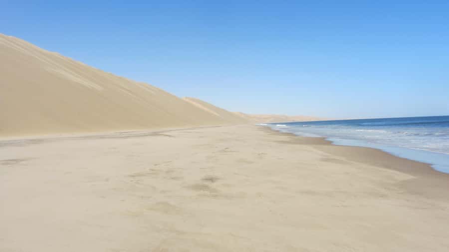 Dolphin & Seal cruise Sandwich harbour dune tour - Starting at Walvis Bay’s flamingo viewing point