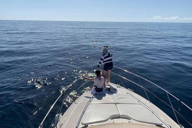 Dolphin Searching Tour in Puerto de Mogán ("KEEPER UNO" Boat) - Setting out from Puerto de Mogán on Keeper Uno