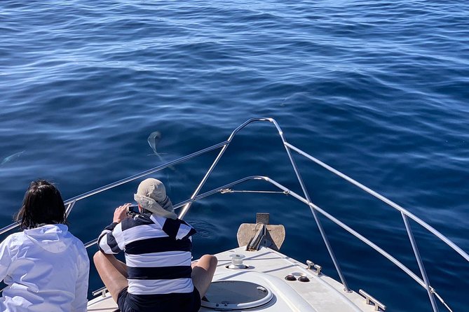 Dolphin Searching Tour in Puerto de Mogán ("KEEPER UNO" Boat) - Swimming and snorkeling near a sheltered bay