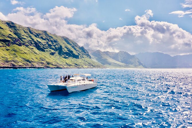 Dolphin & Seasonal Whale Watching, Turtle Snorkeling - Seasonal whales and other surprise sightings