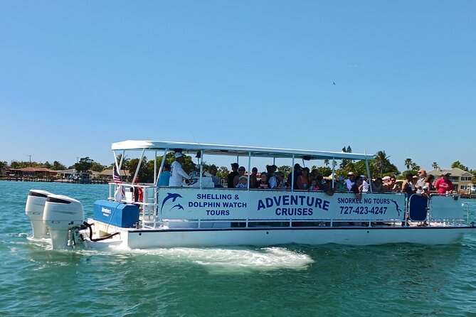 Dolphin /Shelling/Snorkeling tours Private Charters - Snorkeling is included, but it is not guaranteed