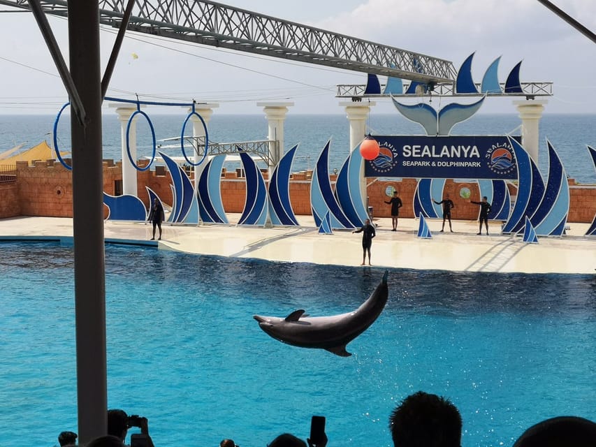Dolphin Show Free Transfer From Alanya, Side, Kemer,Antalya - Practical tips for a smoother visit