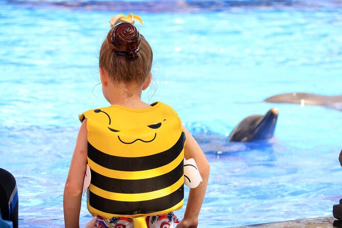 Dolphin Show & Photoshoot Package with Transfer from Hurghada - Key points at a glance