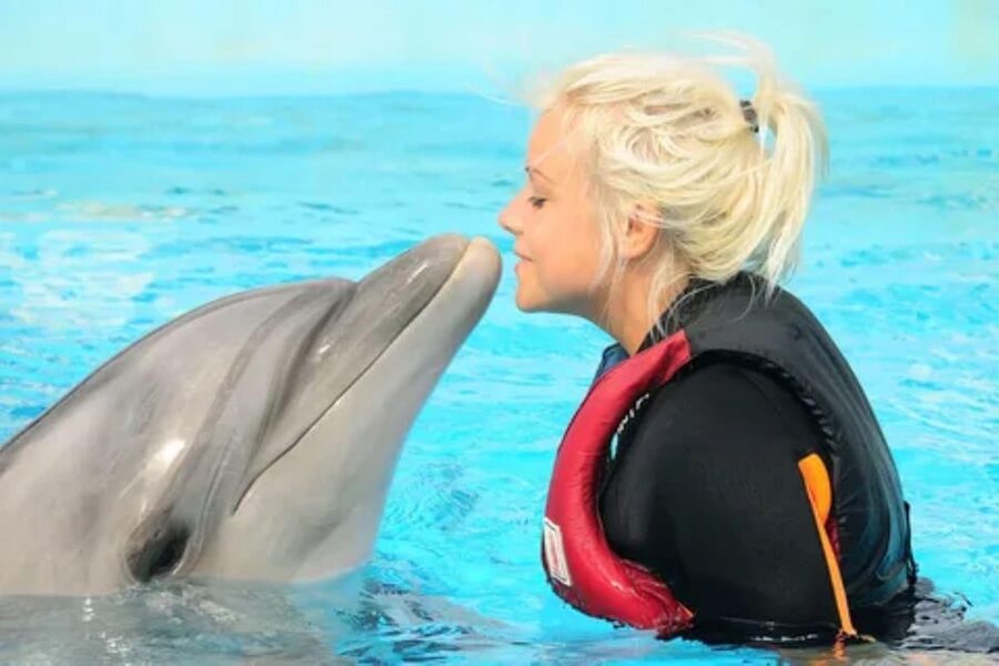 Dolphin Show Tour with Transfer from Alanya & Side - Entering the venue and getting settled