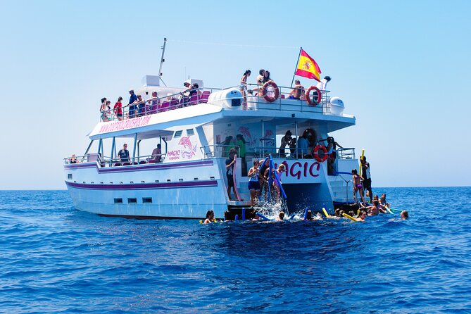 Dolphin Sightseeing Boat Tour from Benalmadena - The possible swim stop