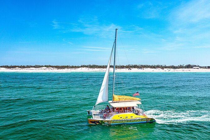 Dolphin Sightseeing Tour on the Footloose Catamaran - Key points to know before sailing