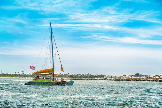 Dolphin Sightseeing Tour on the Footloose Catamaran - Timing, weather, and cancellation details