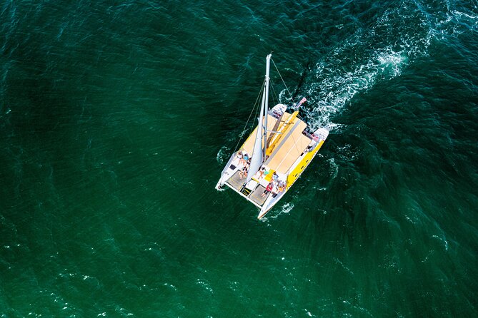 Dolphin Sightseeing Tour on the Footloose Catamaran - Who should book this catamaran trip?