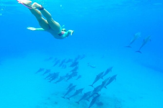 Dolphin Snorkel With private Speed Boat & Water Sports - Hurghada - Crew Names and the Value of a Private Boat