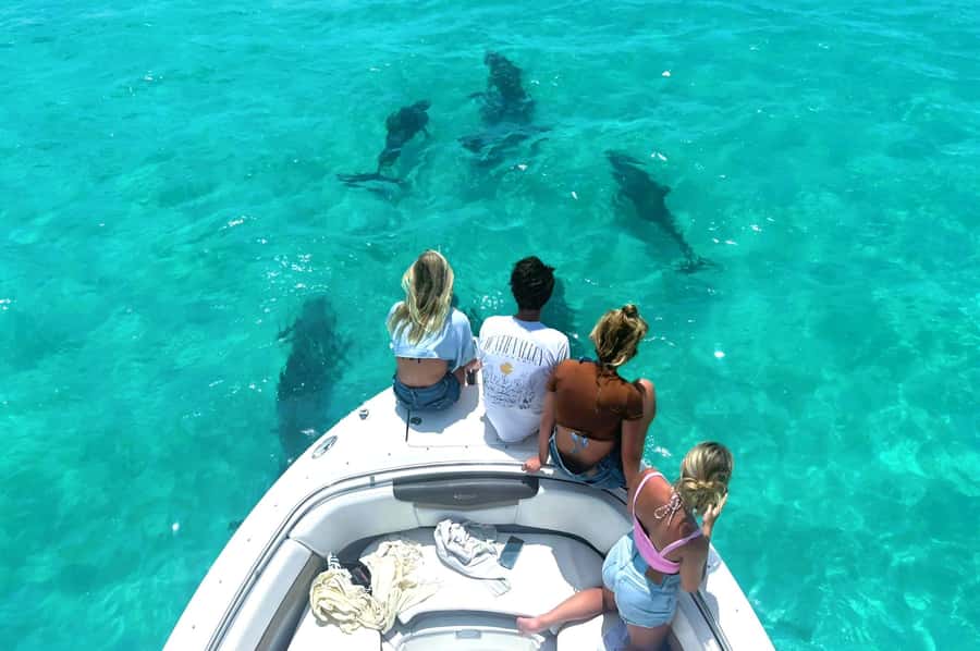 Dolphin & Snorkeling Key West - Why the six-person boat changes the day