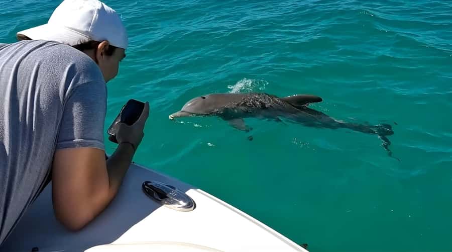 Dolphin & Snorkeling Key West - Is $128 a fair price?