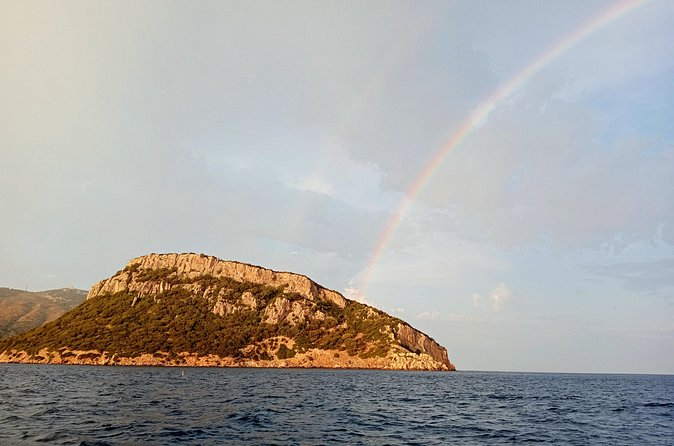 Dolphin spotting in the Gulf of Olbia - Cala Moresca brings a short swim break