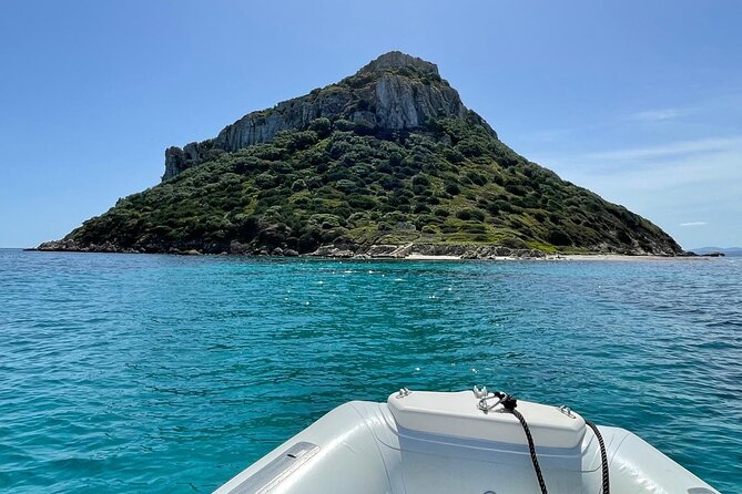 Dolphin spotting in the Gulf of Olbia - Is $42.10 a good price?