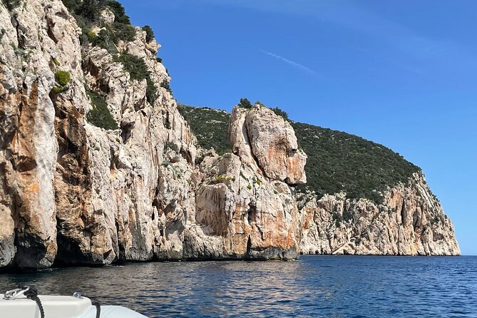 Dolphin spotting in the Gulf of Olbia - Who will enjoy this Olbia excursion