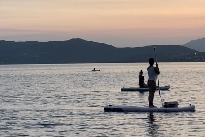 Dolphin-spotting SUP tour with Golfo Aranci aperitif - Why the small group matters
