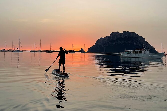 Dolphin-spotting SUP tour with Golfo Aranci aperitif - What to bring for comfort