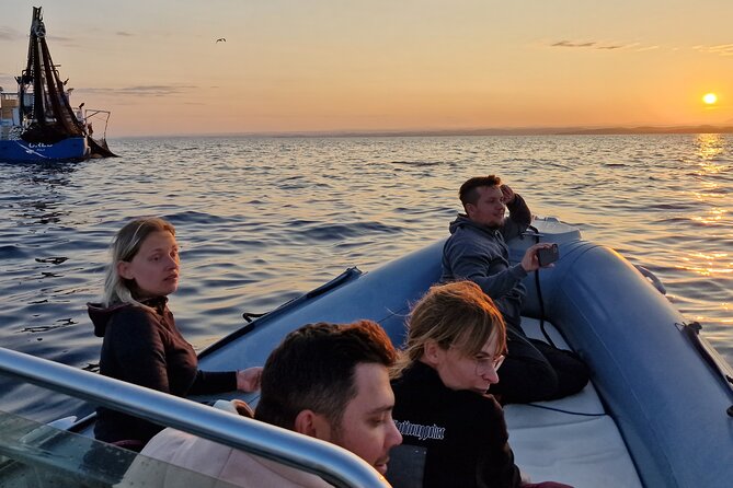 Dolphin Sunrise Adventure with Speedboat - What the one-to-two-hour format gives you