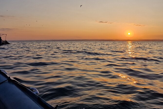 Dolphin Sunrise Adventure with Speedboat - A small group makes the boat feel more personal