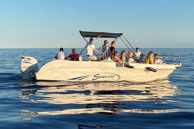 Dolphin Sunrise Adventure with Speedboat - How much value do you get for $42.17?